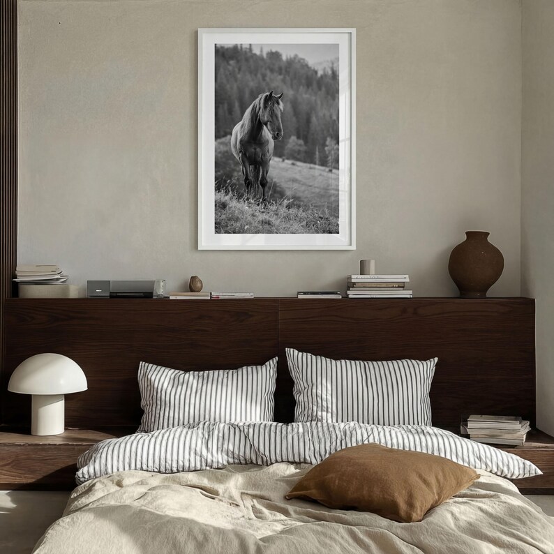 Horse Black and White Fine Art Photo Print, Carpathian Mountains, Fog, Equine Wall Decor image 4