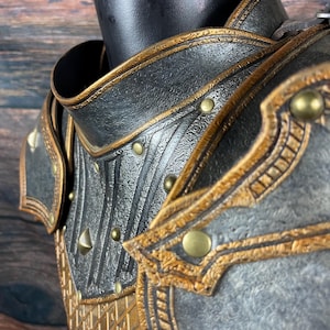 May include: Close-up of a detailed, ornate piece of armor. The armor is primarily gray and black, with gold-colored trim and accents. It features intricate patterns, rivets, and a textured surface, suggesting a medieval or fantasy theme.