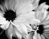 Items similar to Serenity - Black & white photo on canvas on Etsy