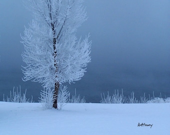 Landscape photo, Nature Wall Art Prints, Nature Photography, # 2-c-a