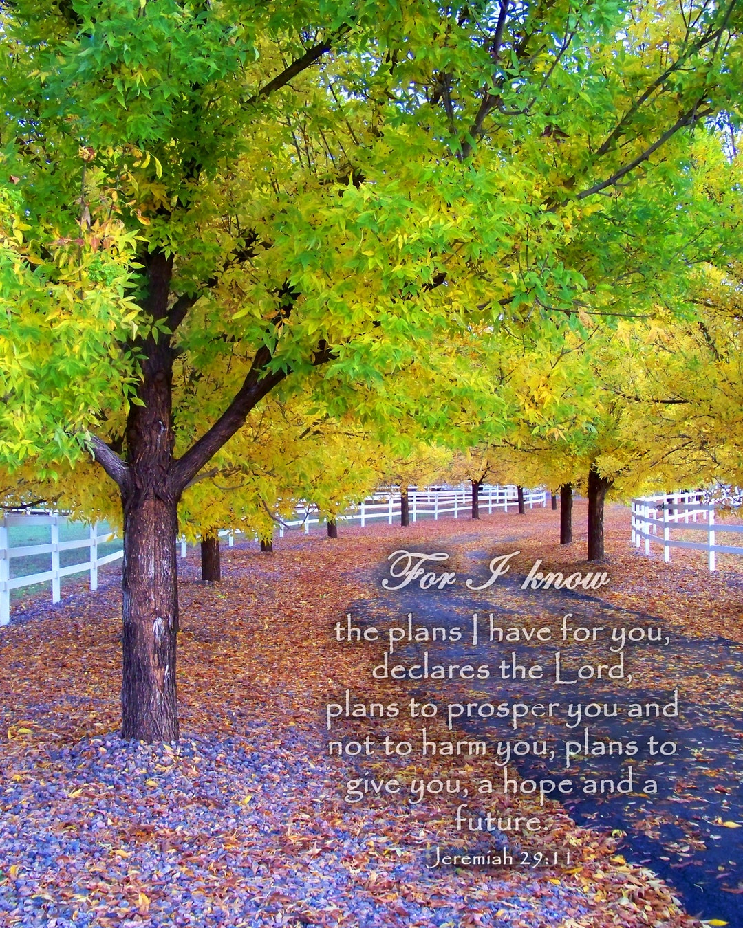 Picture Scripture, Picture Bible Verse, Photography Scripture, Bible