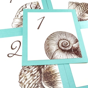 Seashell-tafelnummer voor bruiloftsreceptie of feesten en evenementen aan de kust, 10 schelpen om uit te kiezen
