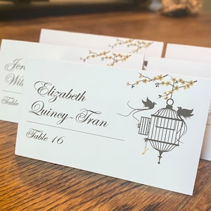 Tarjetas de lugar en forma de jaula con nombre de invitado y mesa para recepciones de bodas, duchas, fiestas, colores y fuentes personalizados, llegan listas para usar
