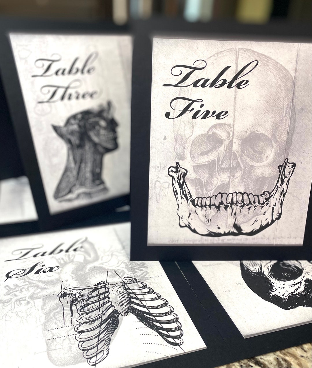 Anatomy Table Numbers: Gothic Halloween Wedding Decor, Phrenology ...