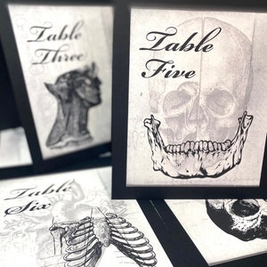 Anatomisch Wissenschaftliche Tischnummer für gotische Hochzeiten oder Partys, wählen Sie aus 16 Designs für Ihr gruseliges Halloween-Thema, schnelle Umsetzung