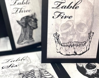 Anatomy Table Numbers: Gothic Halloween Wedding Decor, Customize your Mix