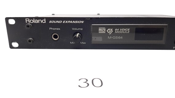 Roland M-GS64 Sound Expansion Module (1994) – 64-voice General