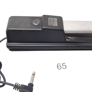 Puede incluir: Pedal de pie negro y plateado con un cable negro y un enchufe de 6,35 mm. El pedal tiene el texto "Sustain Pedal".