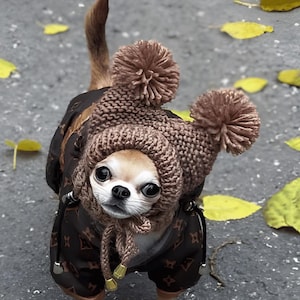 Peut inclure: Un petit chien beige portant une veste marron à motif logo répétitif et un bonnet en tricot marron orné de deux gros pompons sur le dessus. Le bonnet possède des liens tressés avec des embouts métalliques dorés sur la poitrine.