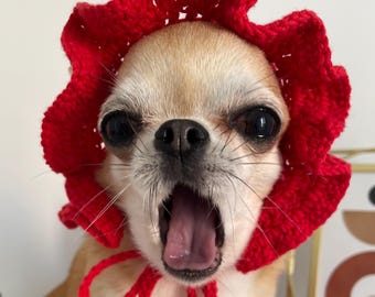 Handgemaakte aardbeihoed: comfortabel accessoire voor kleine hond en kat