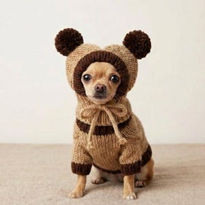 Peut inclure: Un petit chien portant un costume d'ours en tricot marron et beige. Le costume comprend une capuche avec des pompons marron foncé et un pull assorti avec des rayures marron foncé. Le chien est assis sur une surface neutre.