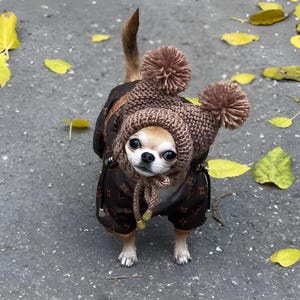 Cappotto Per Cani "Orlando" Con Pettorina Integrata Chihuahua &ndash; Dog Moda