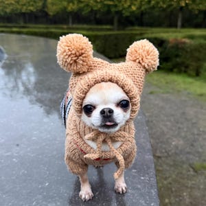 Chihuahua Hat: Knitted Winter Dog Hat with Pom Poms