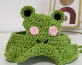 Handgemaakte gehaakte kikkerhondenmuts: lentekostuum voor kleine honden