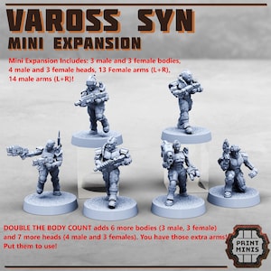 May include: Miniature figures from the Vaross Syn Mini Expansion set. The image shows six gray, unpainted figures in various poses, each on a circular base. The text on the image says the set includes male and female bodies, heads, and arms.