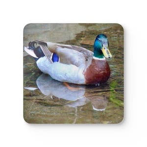 Coaster Set, Wildlife Coasters, Duck Decor, Bird Lover Gift, Animal Coasters, Nature Inspired Coasters