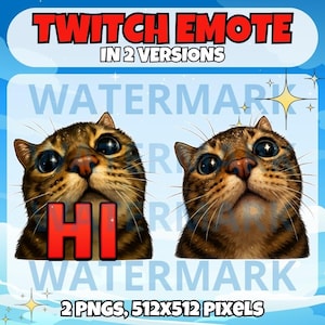 Emote de gato atigrado para Twitch: lindo emoticono para Twitch, Discord, Youtube, Tiktok Stream: lindo emoticono de "hola" de gato atigrado: lindos emoticonos de "hola" con retrato de gato gris.