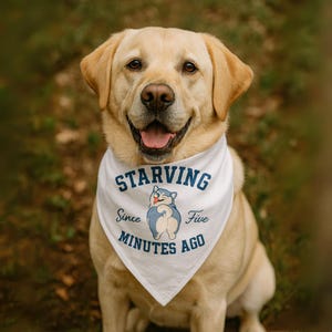 Bandana Divertida para Mascotas - Ideal para Perros, Moda canina, Accesorios para Mascotas, Regalo para Dueños de Perros, Regalo Cumpleaños