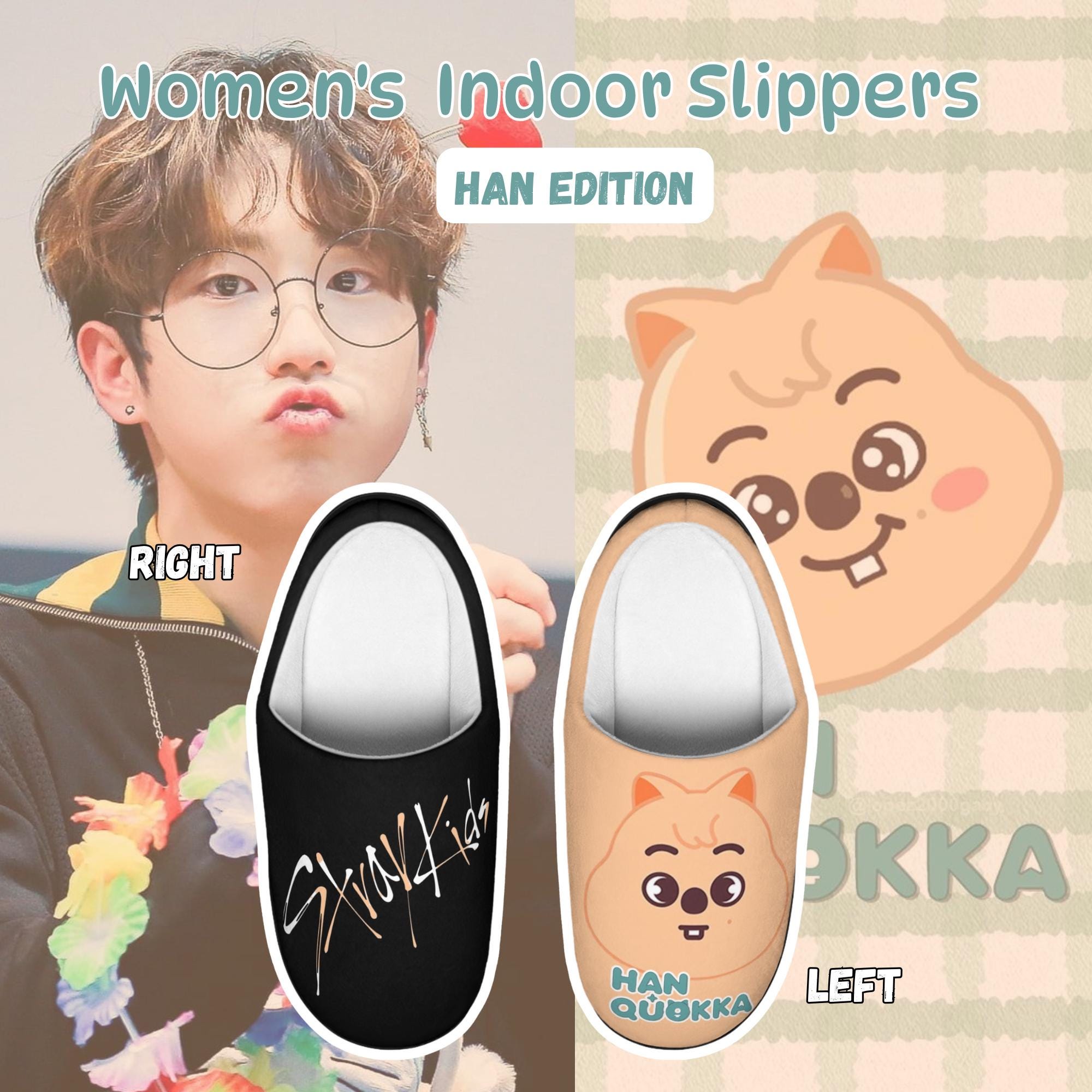 Stray Kids Slippers - Etsy