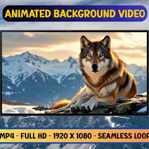 Könnte beinhalten: Animiertes Hintergrundvideo mit einem Wolf, der auf einem Felsen vor einer schneebedeckten Bergkulisse liegt. Das Video hat Full HD-Auflösung, 1920 x 1080, und ist nahtlos in der Schleife. Der Text lautet "ANIMATED BACKGROUND VIDEO" und "MP4 - FULL HD - 1920 X 1080 - SEAMLESS LOOP".