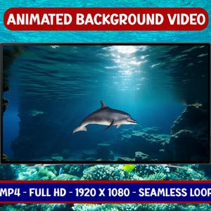 Animated Background - Cute Dolphin - Seamless Loop - Animated Video - Loop Video - Animated Scene - Seamless Animation - Digital Download