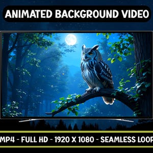 Puede incluir: Un televisor muestra un vídeo de fondo animado de un búho posado en una rama en un bosque iluminado por la luna. El vídeo está etiquetado como "Animated Background Video" e incluye las especificaciones "MP4 - FULL HD - 1920 X 1080 - SEAMLESS LOOP."