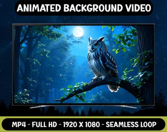Uhu bei Nacht im Wald - Animiertes Hintergrundvideo - Hintergrundpapier - Digitaler Download