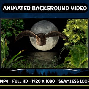 Pode incluir: Uma tela de TV exibe um vídeo de fundo animado. O vídeo apresenta uma coruja marrom com as asas abertas em frente a uma lua cheia. Folhagem verde exuberante e água em primeiro plano. O texto na parte superior diz "ANIMATED BACKGROUND VIDEO".
