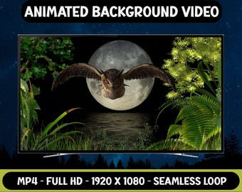 Uhu fliegt bei Nacht 3D Seamless Loop Animiertes Video - Full HD Virtueller Hintergrund Livepaper - MP4 Video Datei Digitaler Download