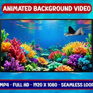Manta Ray Animated Background: Tropical Reef Seamless Loop (Digital Download))