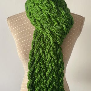 May include: A green knitted scarf with a cable knit pattern.