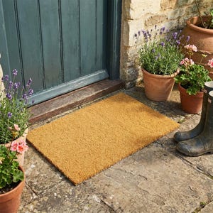 May include: A rectangular, natural coir doormat on a stone patio in front of a teal door. Potted plants with purple and pink flowers flank the door, with a pair of black wellington boots.