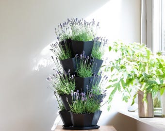 5-Tier Vertical Planter: Recycled Plastic Indoor/Outdoor Garden