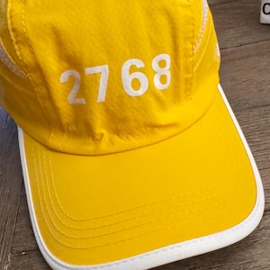 Dominique’s 2768 Manitou Springs Incline running hats. Light weight, breathable quick dry technology.