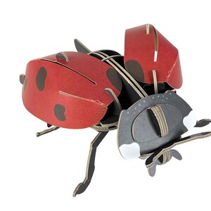 May include: A red and black ladybug made of cardboard. The ladybug has black spots and is assembled in a 3D design.