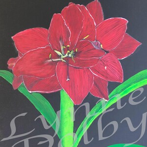 Amaryllis in Bloom — Digital Download, red floral, red amaryllis, Christmas floral, red flower