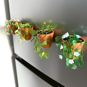 Könnte beinhalten: Vier kleine Terrakotta-Töpfe mit Perlenpflanzendekorationen. Die Pflanzen haben grüne Blätter und rosa oder weiße Blüten. Die Töpfe sind in einer Reihe angeordnet und scheinen an einer grauen Oberfläche befestigt zu sein.