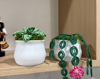 手作りビーズ多肉植物：5インチポット入りグリーンビーズサボテン