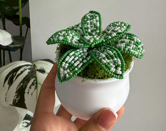 手作りビーズ多肉植物：5インチポット入りグリーンビーズサボテン