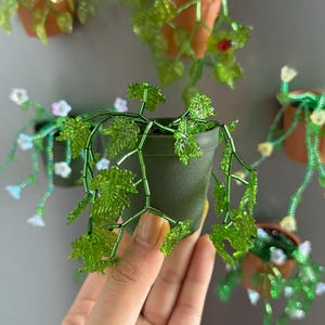 May include: Several miniature beaded plants in small pots. The plants have green beaded leaves and vines, with some pots in terracotta and others in dark green. The image shows a selection of these decorative plants.