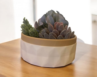 Modern Minimalist 3D Printed Succulent Planter Bowl | Small Desk Plant Decor