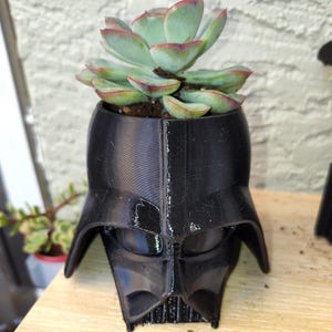 Darth Vader Succulent Planter