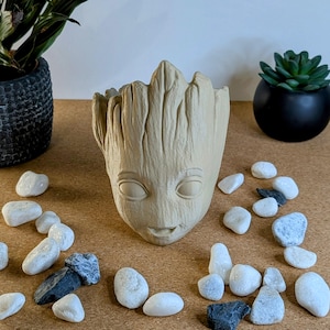 Puede incluir: Un macetero de cerámica beige con forma de la cabeza del personaje Groot de la franquicia de películas Guardianes de la Galaxia. El macetero tiene una superficie texturizada y está rodeado de piedras blancas y grises.