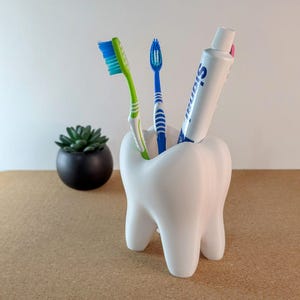 Peut inclure: Un porte-brosse à dents blanc en forme de dent contenant deux brosses à dents et un tube de dentifrice. Les brosses à dents ont des poils verts et bleus. Une petite plante succulente dans un pot noir est en arrière-plan.