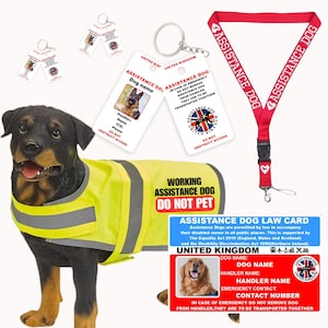 Ensemble de gilets de soutien pour chien d'assistance - gilet personnalisable avec carte et médailles personnalisées