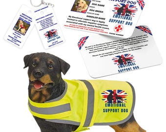 Rescue Dog Therapy Dog Norbert Buy Preloved The Slurpy Burpy Bear