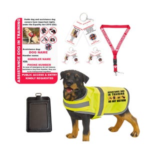 Assistance Dog In Training Hi-Vis Vest – Reflective “Do Not Disturb” Jacket – Optional ID Card, Tags, Lanyard & Card Holder