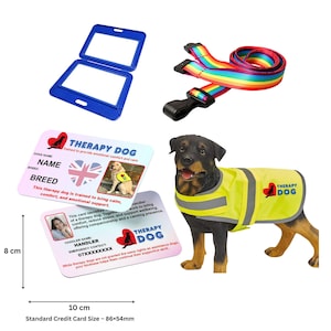 Therapy Dog Support Set ,Hi Vis Vest with Custom Information Card, Holder & Rainbow Lanyard (S, M, L)