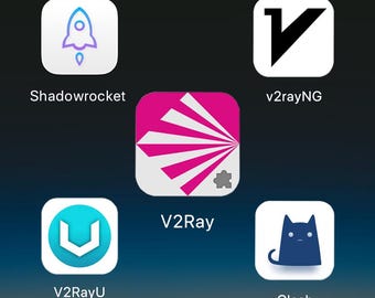V2Ray VPN Server: Dedicated IP with 1TB Monthly High-Speed Data Transfer.
