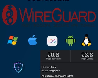 WireGuard/AmneziaWG/Socks5 VPN Server: 1TB/Month with Dedicated IP and High-Speed Data Transfer.